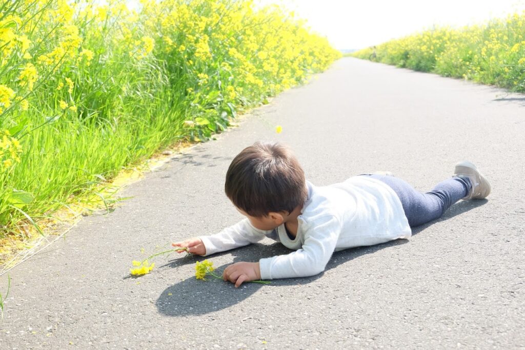 息子が菜の花に囲まれている写真